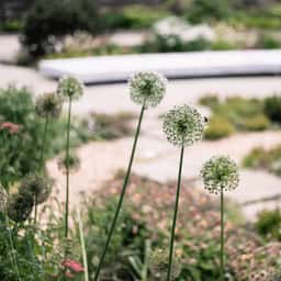 Memorial Garden and Wayfinding for the Glade of Light - thumbnail 5
