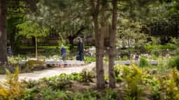 Memorial Garden and Wayfinding for the Glade of Light - thumbnail 6