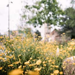 Memorial Garden and Wayfinding for the Glade of Light - thumbnail 8
