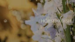 Visual Identity for Horseradish - thumbnail 7