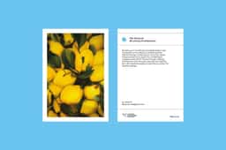 Degree Show Identity for Liverpool School of Art & Design - thumbnail 5
