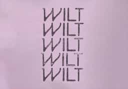 Brand Identity and Print Design for Wilt Bloemen - thumbnail 2