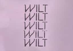 Brand Identity and Print Design for Wilt Bloemen - thumbnail 3