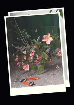 Brand Identity and Print Design for Wilt Bloemen - thumbnail 6