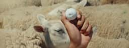 Advertising for Reebok x Manors' British Golf Collection - thumbnail 2
