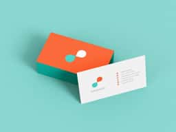 Naming and Brand Identity for a Sustainable Interior Design Marketplace - thumbnail 7