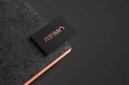 Visual and Verbal Identity for Attimo Home Appliances - thumbnail 7