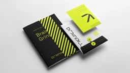 Visual Identity for Brainiall, an Industrial AI Company - thumbnail 2
