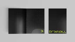 Visual Identity for Brainiall, an Industrial AI Company - thumbnail 8