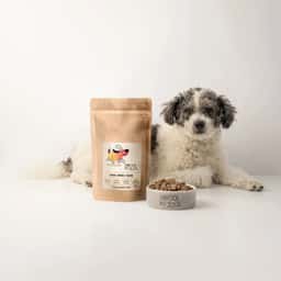 Visual Identity for an Artisanal Dog Treat Company - thumbnail 2