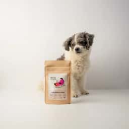 Visual Identity for an Artisanal Dog Treat Company - thumbnail 4