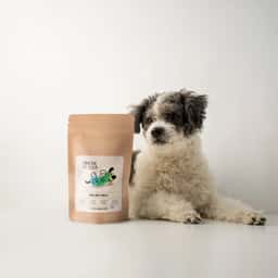 Visual Identity for an Artisanal Dog Treat Company - thumbnail 5