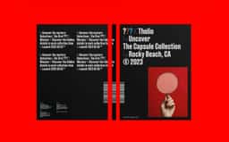 Branding and Packaging for Die Drei ??? Capsule Collection - thumbnail 8