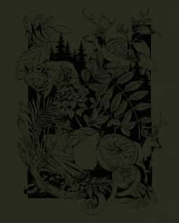 Brand and Packaging Design for Waldteufel - thumbnail 6