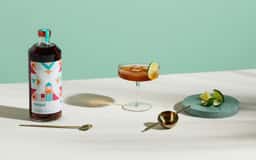 Branding and Packaging for Versol Vermouth - thumbnail 6
