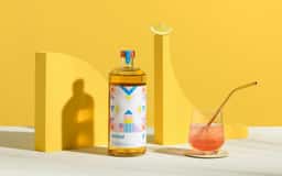 Branding and Packaging for Versol Vermouth - thumbnail 8