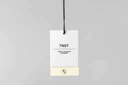 Brand Identity for TNGT - thumbnail 7