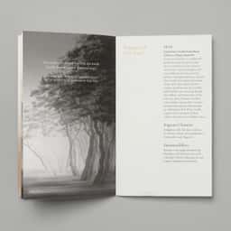Environmental Design for Sulwhasoo’s Seoul Flagship Store - thumbnail 5