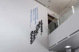 Exhibition Identity for Where the Tide Has Been - thumbnail 9