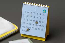 Calendar Kit for Kakao Pay Insurance - thumbnail 4