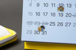 Calendar Kit for Kakao Pay Insurance - thumbnail 5
