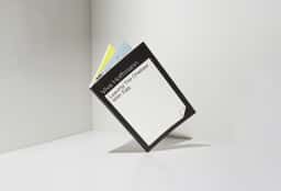 Editorial Design for Leaving the Chelsea with Egg - thumbnail 3