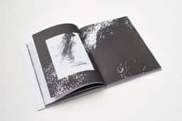 Monographic Catalogue for Anina Brisolla - thumbnail 7