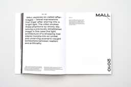 Monographic Catalogue for Anina Brisolla - thumbnail 8