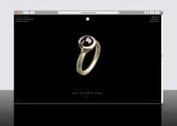 Visual Identity and Website for René Talmon L'Armée - thumbnail 6