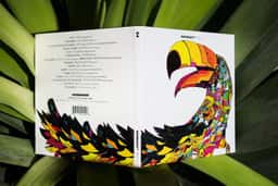 Art Direction for Watergate Records - thumbnail 4