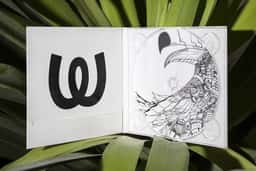 Art Direction for Watergate Records - thumbnail 5