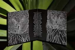 Art Direction for Watergate Records - thumbnail 7