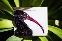 Art Direction for Watergate Records - thumbnail 8