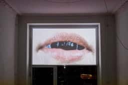 Visual Identity for Blake & Vargas Gallery - thumbnail 5