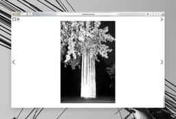 Website Design for Photographer Werner Amann - thumbnail 7