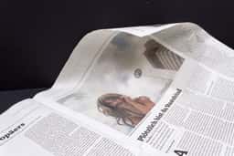 Newspaper Relaunch for Der Freitag - thumbnail 7