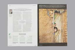 Visual Identity for TagesWoche Newspaper - thumbnail 9