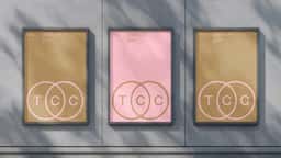 Brand Identity and Digital Campaign for Top Creative Companies - thumbnail 2