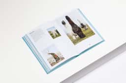 Print Design for It’s Nice That Annual - thumbnail 7
