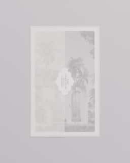 Brand Identity for Santuario Retreat - thumbnail 6