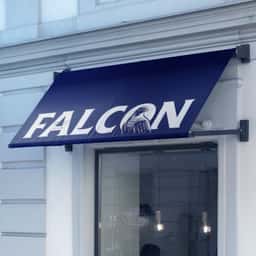 Packaging Redesign for Falcon Beer - thumbnail 8