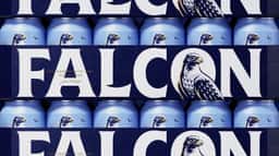 Packaging Redesign for Falcon Beer - thumbnail 9