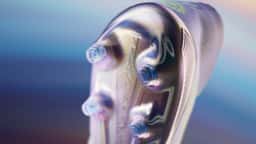 3D Product Film for Adidas Football - thumbnail 3