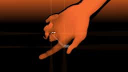 Hamm — the Touch - thumbnail 5