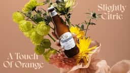 Global Visual Identity for Hoegaarden - thumbnail 3