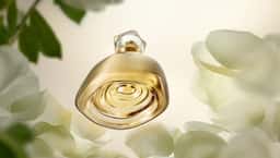 Brand Identity for Natura Aura Alba - thumbnail 2