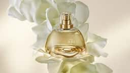 Brand Identity for Natura Aura Alba - thumbnail 3