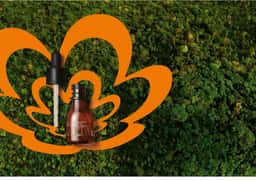 Visual Identity for Natura Ekos Haircare - thumbnail 3
