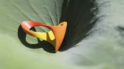 Brand Identity for Rio 2016 Paralympic Games - thumbnail 9