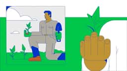 Illustration System for Suzano - thumbnail 3